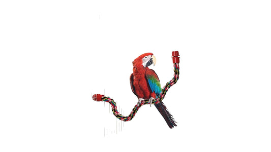 Bird Bar Cotton Twister, 68cm Bird - Parrot Toy