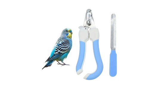 Bird Nail Clipper & File Set