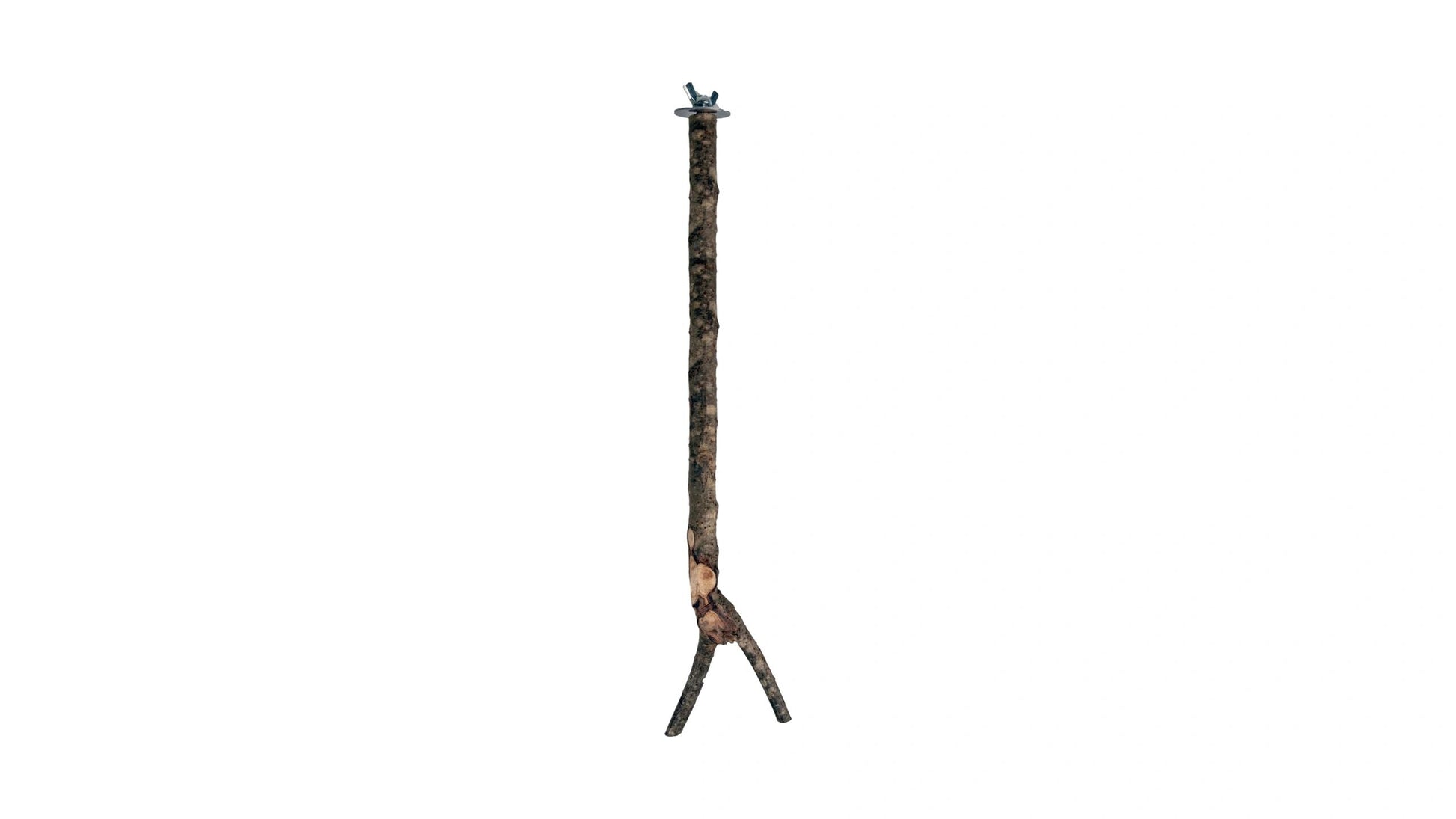 Bird Perch Y-shape, 30cm*