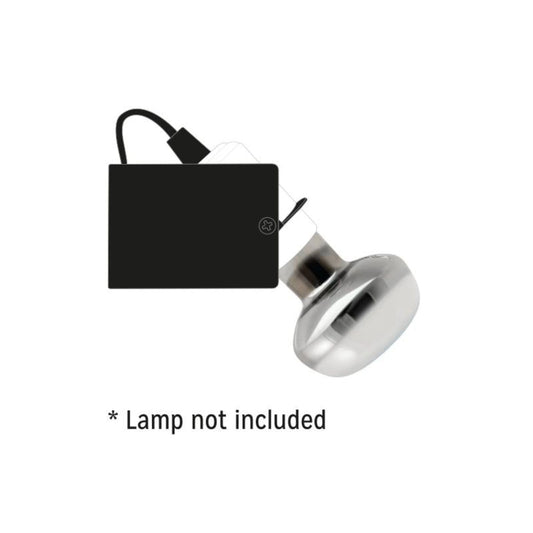 Bird Systems Ceramic Rotating Lamp Holder E27 | 200W Adjustable Bracket for Birds & Reptiles