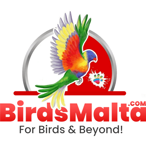 BIrdsMalta.com