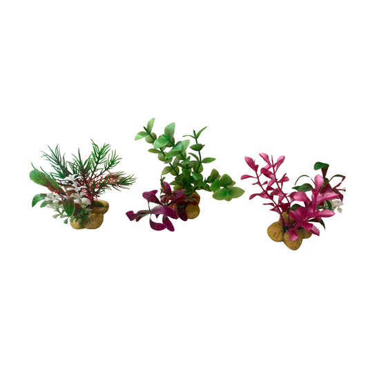 Bundle 5 Small Colorful Aquarium Plants X 3Pcs (7X8.2X10.6cm)