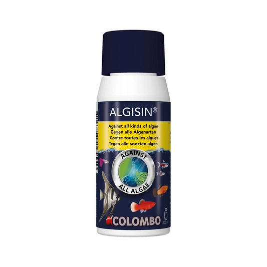 Algisin against all algae COLOMBO aquarium treatment spray bottle with a dark navy blue cap and label, on a white background.