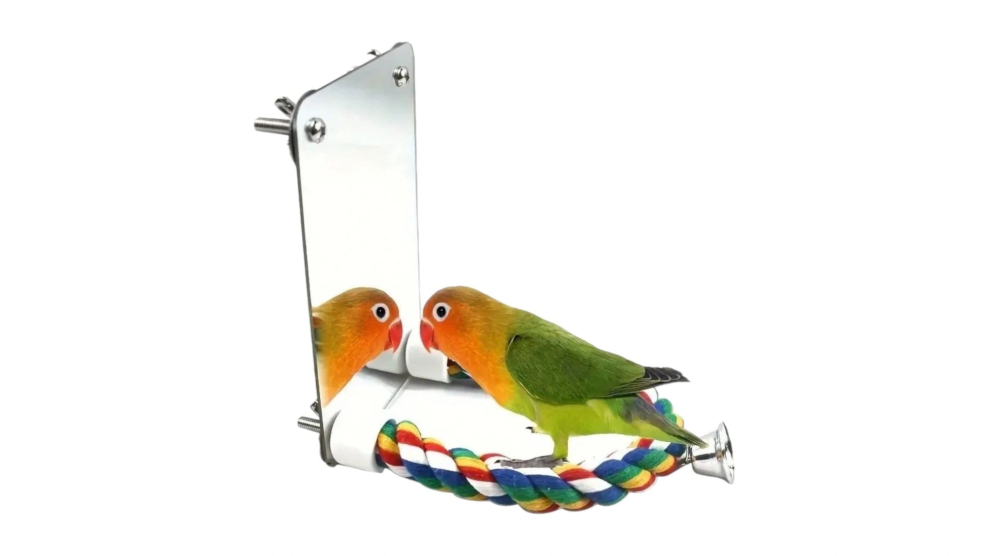Colorful Bird Perch With Mirror Bird - Parrot Toy
