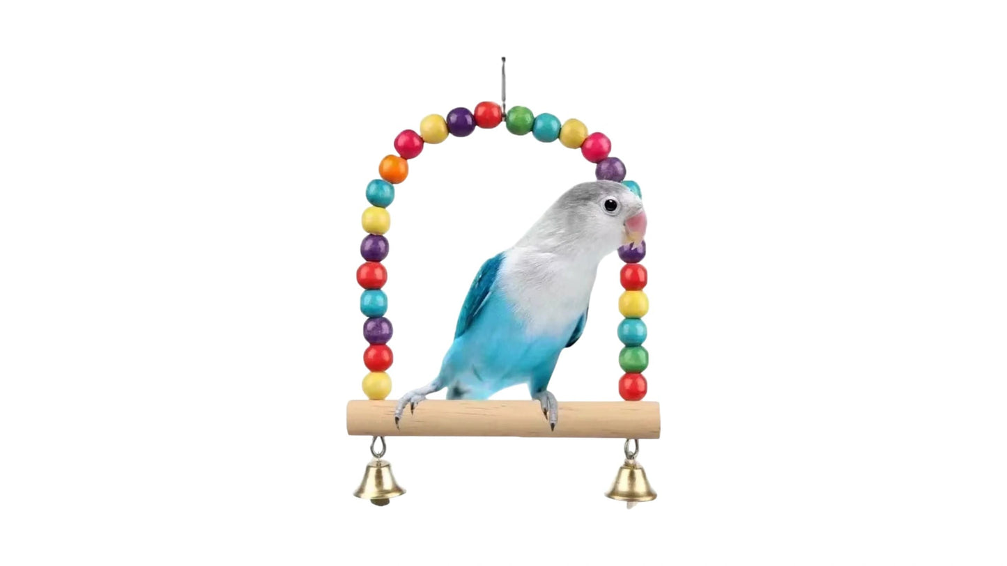 Colorful Large Parakeets Swing Bird - Parrot Toy