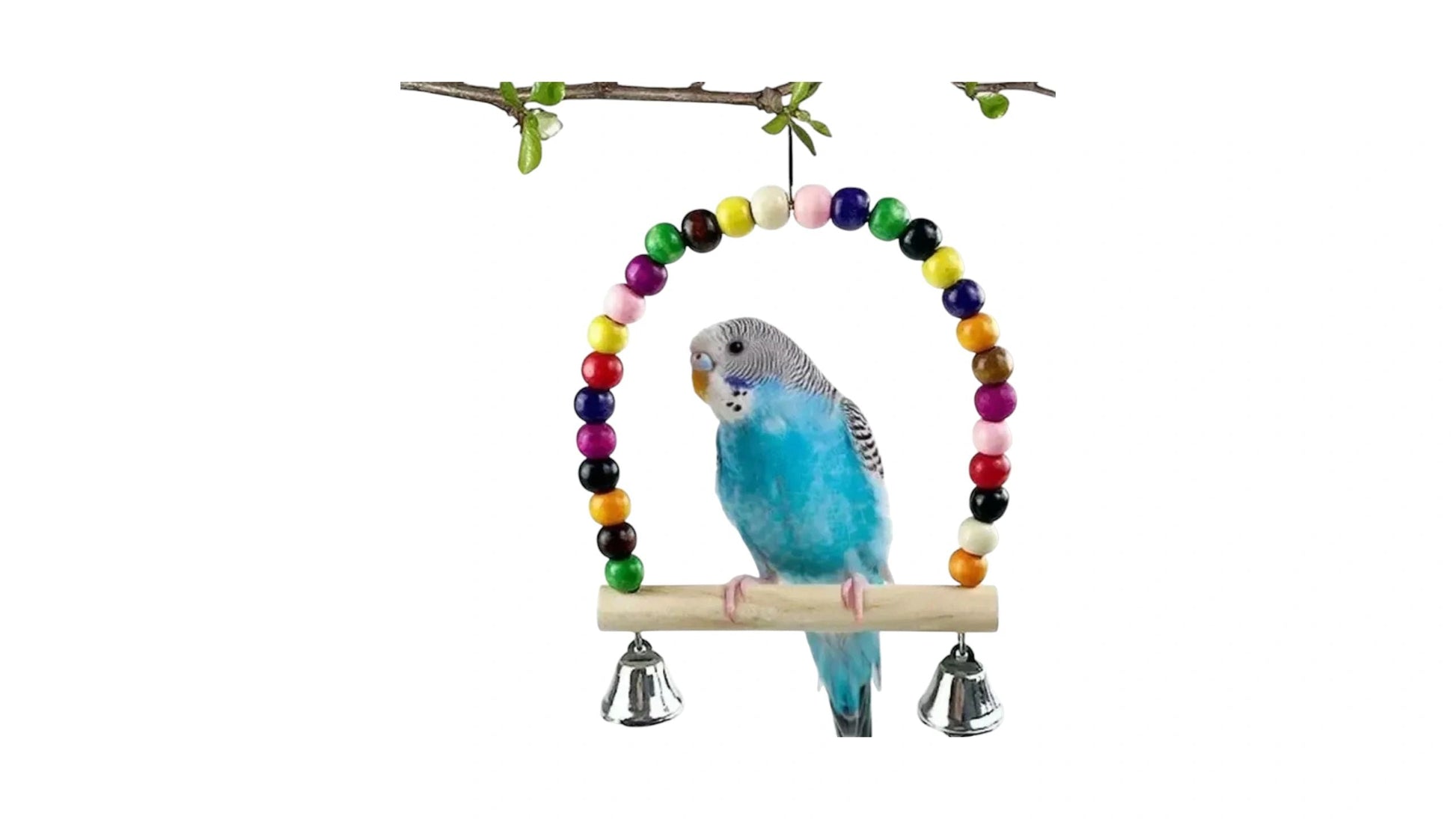 Colorful Small Parakeet Bird Swing Toy