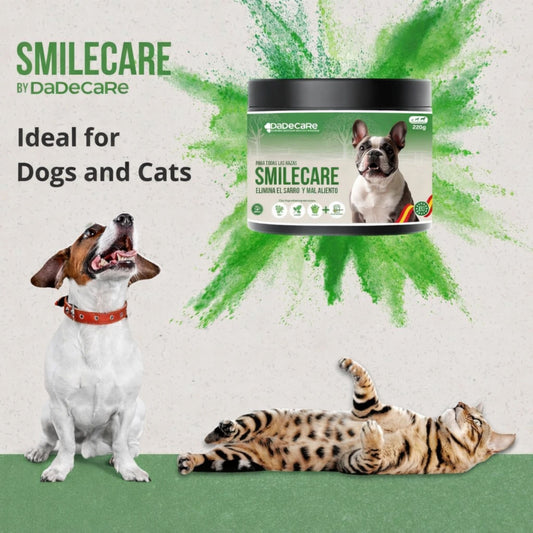 Smilecare – Powders for Bad Breath 220g Kelp – Natural Alternative Toothpaste for Dogs and Cats, Improves Breath, Reduces Tartar, Prevention Dental Problems – No Daily Brushing