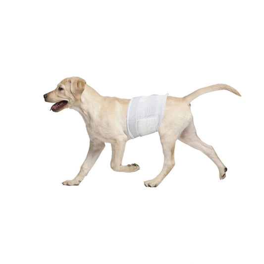 Disposable Male Dog Diapers Wraps - Large (60-80 cm)