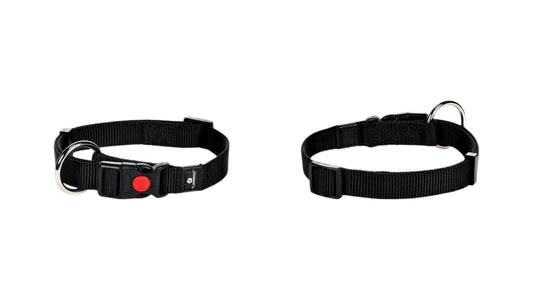 Dog Collar Ziggi Black - 30cm/45cmx15mm - Code 5363634
