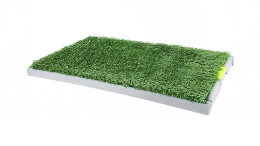 Dog Green Trainer