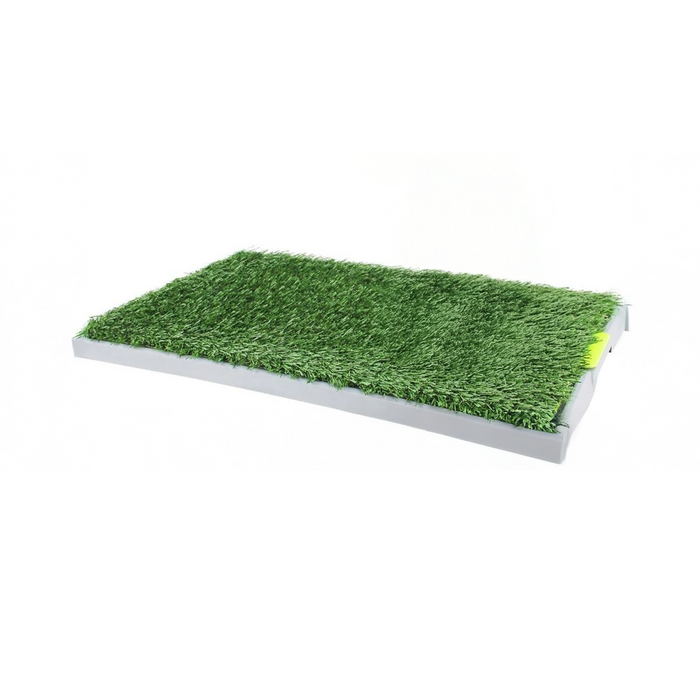 Dog Green Trainer