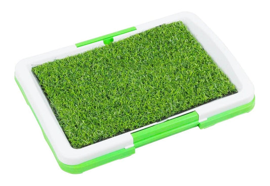 Dog Potty Trainer