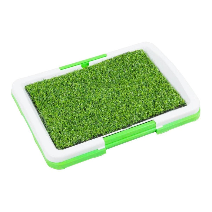 Dog Potty Trainer