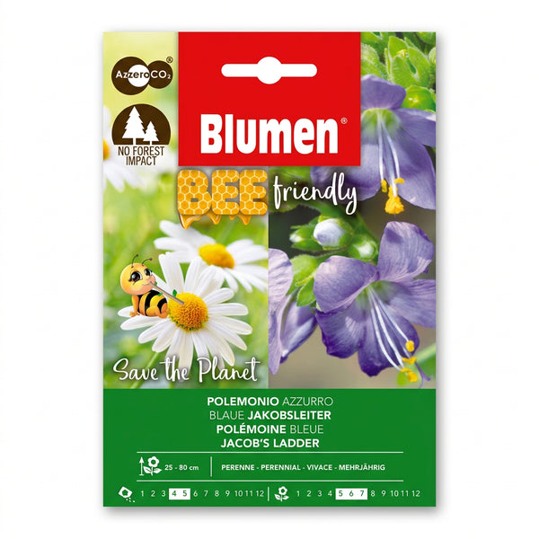 Blumen Blue Jacob’s Ladder Seeds – Bee-Friendly Polemonium product image