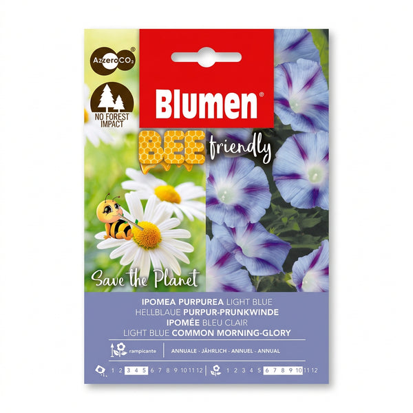 Blumen Light Blue Morning Glory Seeds – Bee-Friendly Climber product image