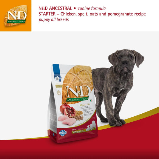 2.5kg bag of N&D Ancestral Puppy Starter dog food featuring chicken and pomegranate imagery next to a brindle puppy.