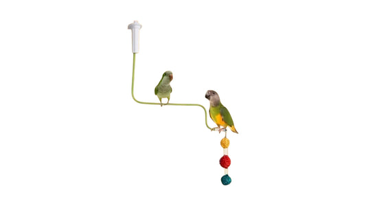 Flexible Bird Perch - With Adjustable Clamp