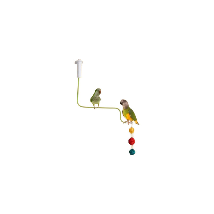 Flexible Bird Perch - With Adjustable Clamp