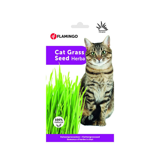 Fresh Green Bliss: Premium European Cat Grass Kit
