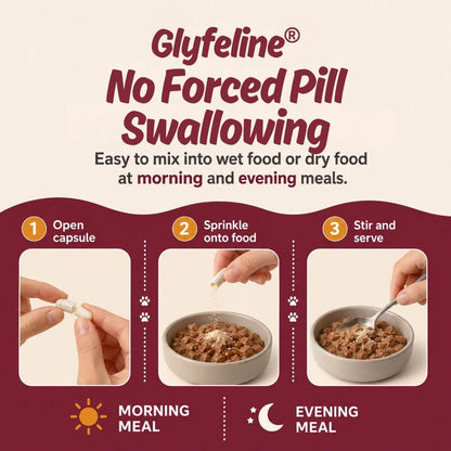 Instructional graphic for Glyfeline No Forced Pill Swallowing cat medication, showing three steps: open capsule, sprinkle onto food, and stir and serve. Includes morning and evening meal usage on a cream and burgundy background.