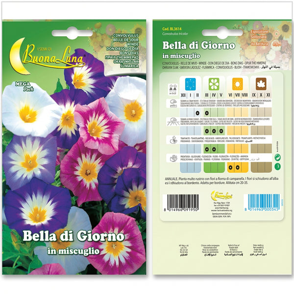 Hortus Dwarf Morning Glory Mix Seeds – Bella di Giorno product image