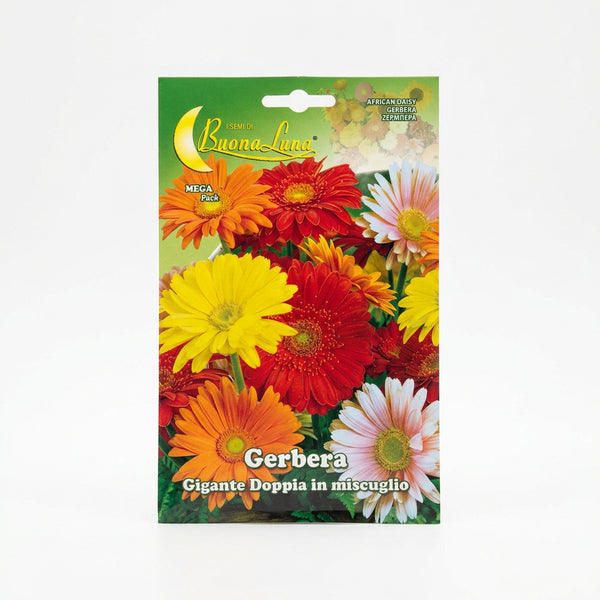 Hortus Giant Double Gerbera Mix Seeds – African Daisy product image
