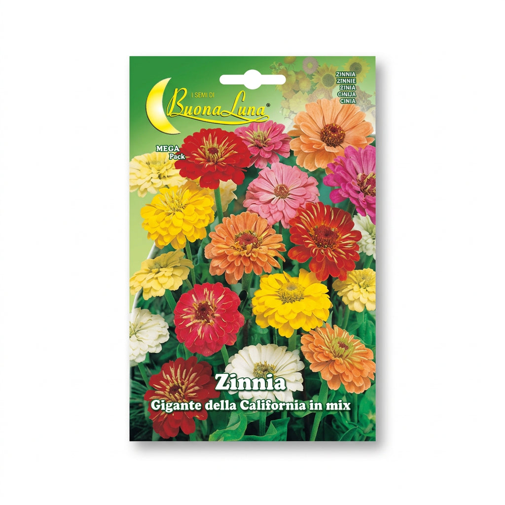 Hortus California Giant Zinnia Mix Seeds – Large Flowers product image