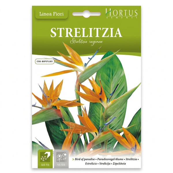 Hortus Bird of Paradise Seeds – Strelitzia reginae product image
