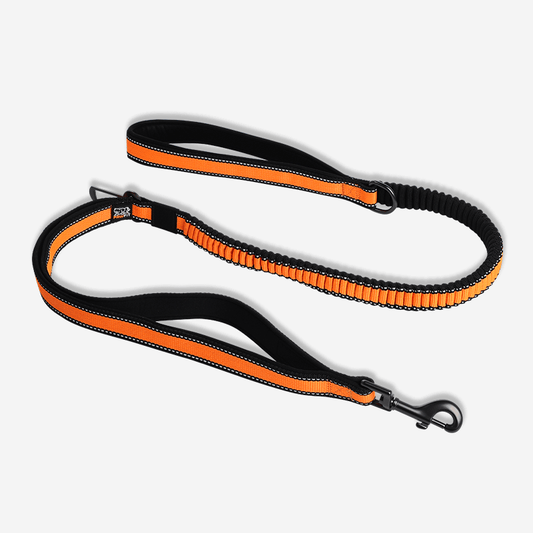 Black and orange dog leash on a white background