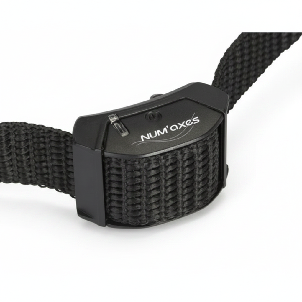 A close-up of a black Num'Axes dog collar buckle and woven strap on a white background.