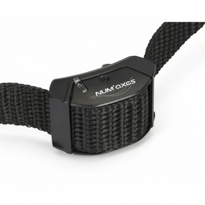 A close-up of a black Num'Axes dog collar buckle and woven strap on a white background.