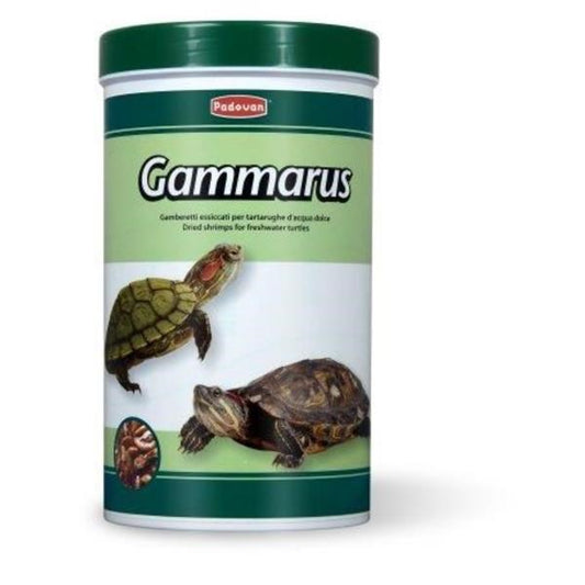 A cylindrical white plastic canister of Padovan Gammarus dry shrimp for freshwater turtles, featuring a dark green lid and green and white label with images of two turtles.