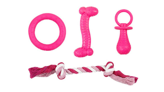 PINK Puppy Life-Teething Dog Puppy Toy Set Pink