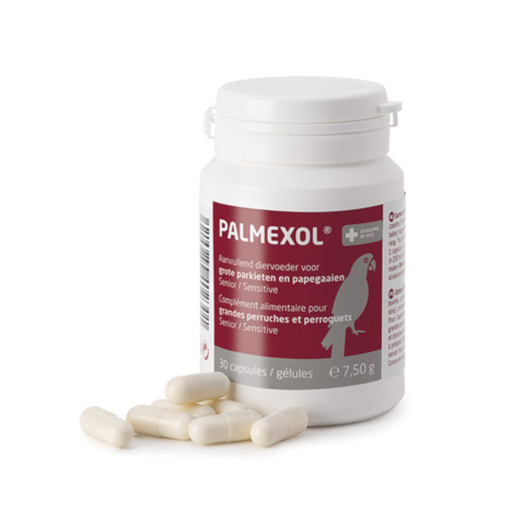 A white plastic bottle of PALMEXOL parrot supplement with a maroon label, shown with several off-white capsules in front on a white background.