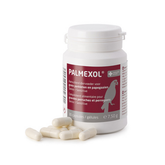 A white plastic bottle of PALMEXOL parrot supplement with a maroon label, shown with several off-white capsules in front on a white background.