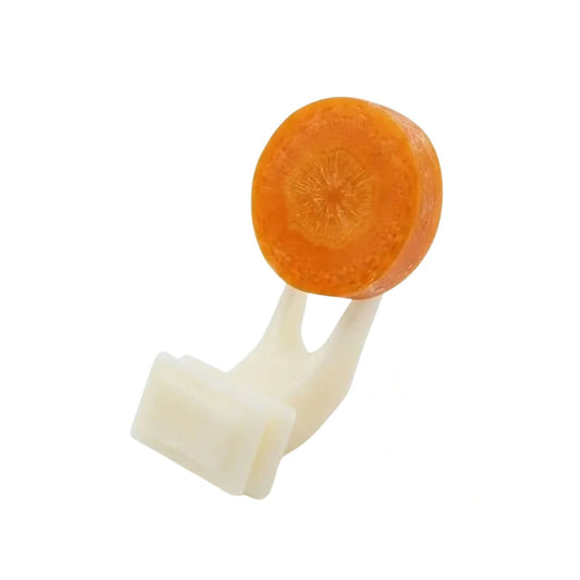 Parrot Cage Fruit Fork Station, X 2pcs