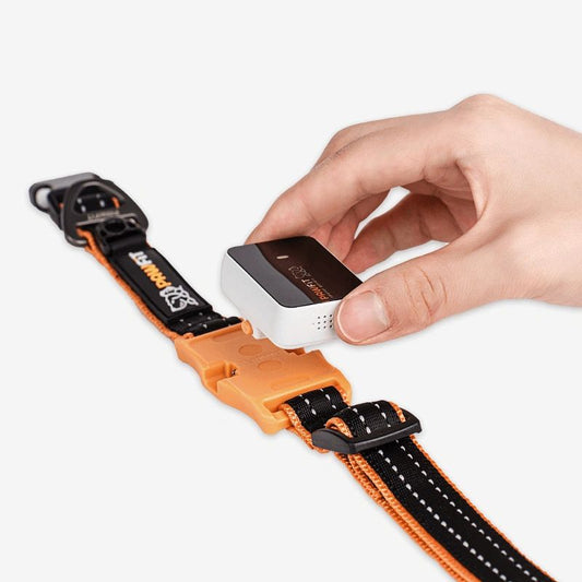 Pawfit 3 Dog Collar with Built-In Tracker Mount | Durable & Weatherproof ( Available in 4 Sizes )
