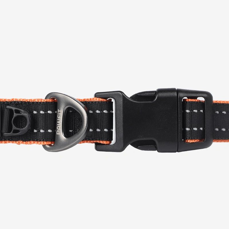 Pawfit 3 Dog Collar with Built-In Tracker Mount | Durable & Weatherproof ( Available in 4 Sizes )