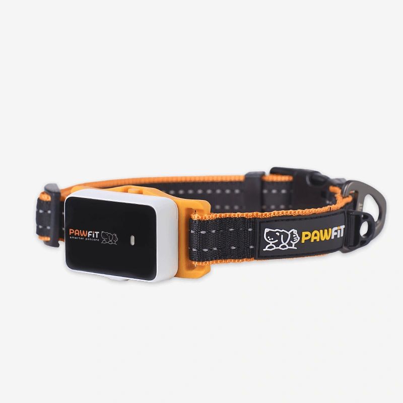 Pawfit 3 Dog Collar with Built-In Tracker Mount | Durable & Weatherproof ( Available in 4 Sizes )