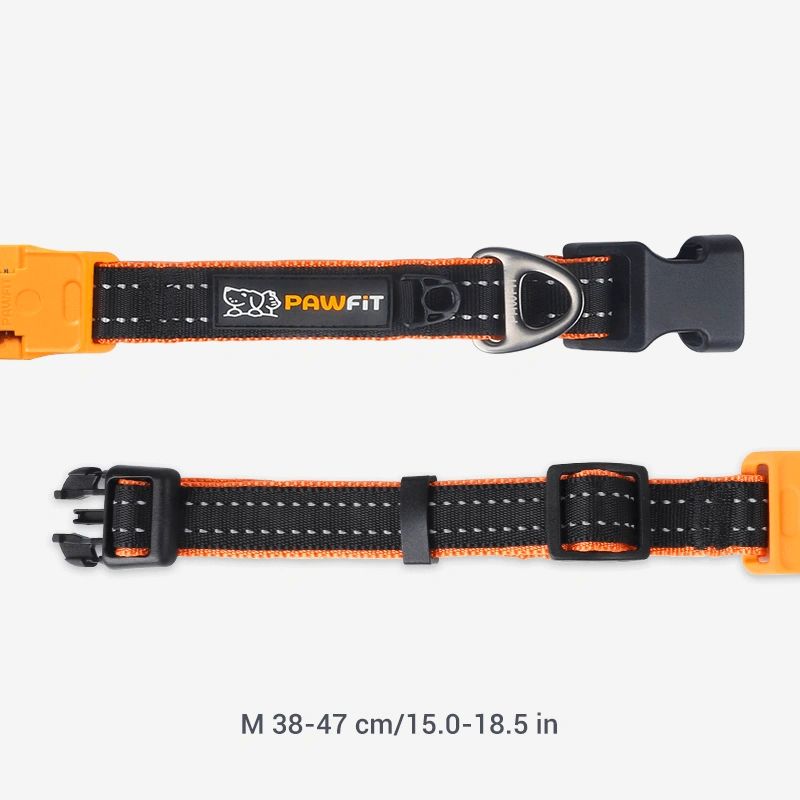 Pawfit 3 Dog Collar with Built-In Tracker Mount | Durable & Weatherproof ( Available in 4 Sizes )