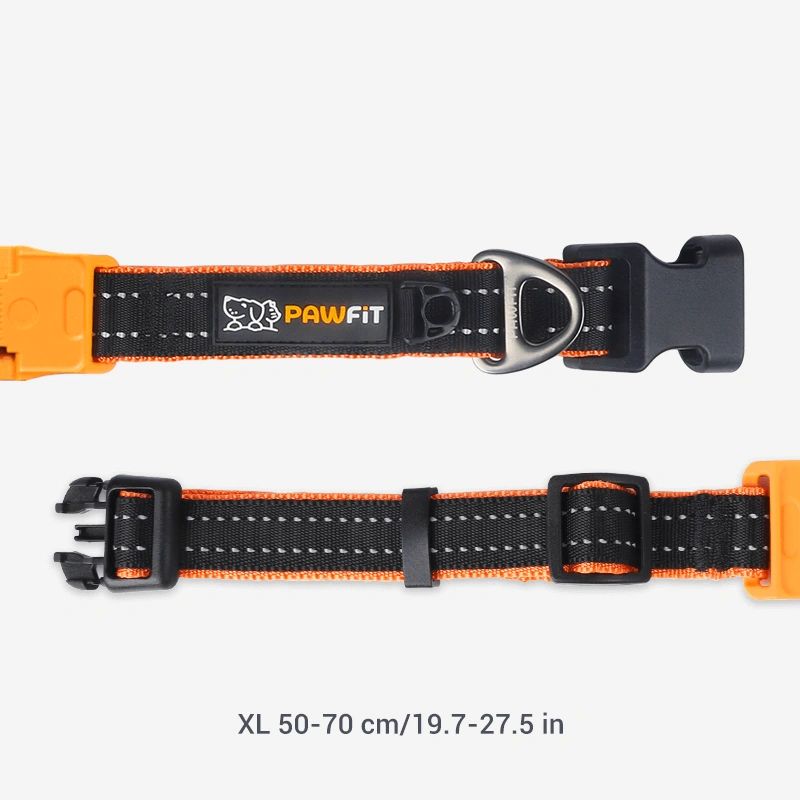 Pawfit 3 Dog Collar with Built-In Tracker Mount | Durable & Weatherproof ( Available in 4 Sizes )