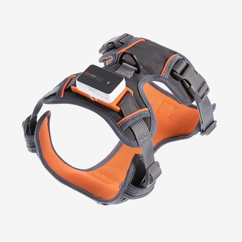 Pawfit 3 Dog Harness with Built-in Tracker Mount | No-Pull & Reflective ( Available in 4 Sizes )