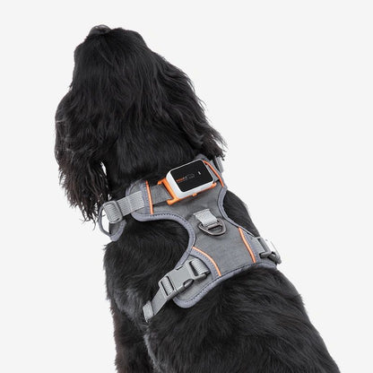 Pawfit 3 Dog Harness with Built-in Tracker Mount | No-Pull & Reflective ( Available in 4 Sizes )