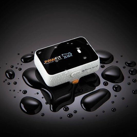 Pawfit 3 GPS Dog Tracker The ultimate Waterproof & Adventure-proof GPS tracker.