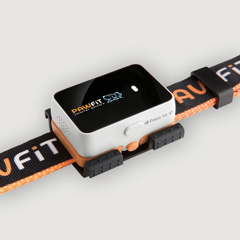 Pawfit 3 GPS Dog Tracker The ultimate Waterproof & Adventure-proof GPS tracker.