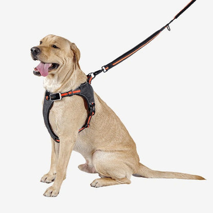 Pawfit Dog Leash with Seatbelt Buckle | Shock-Absorbing Bungee Lead