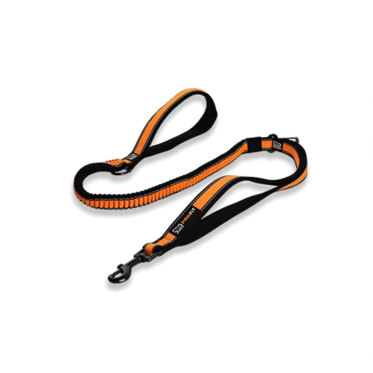 Pawfit Dog Leash with Seatbelt Buckle | Shock-Absorbing Bungee Lead