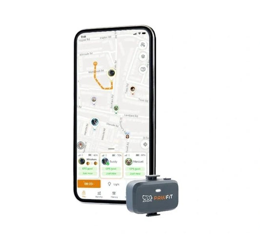 Pawfit Lite Cat GPS Tracker & Collar | Smallest 4G Activity Monitor | No More Missing Pets!