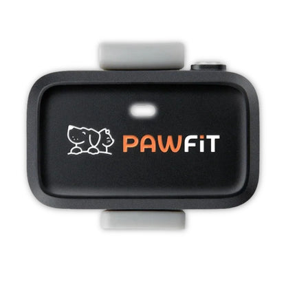 Pawfit Lite Cat GPS Tracker & Collar | Smallest 4G Activity Monitor | No More Missing Pets!