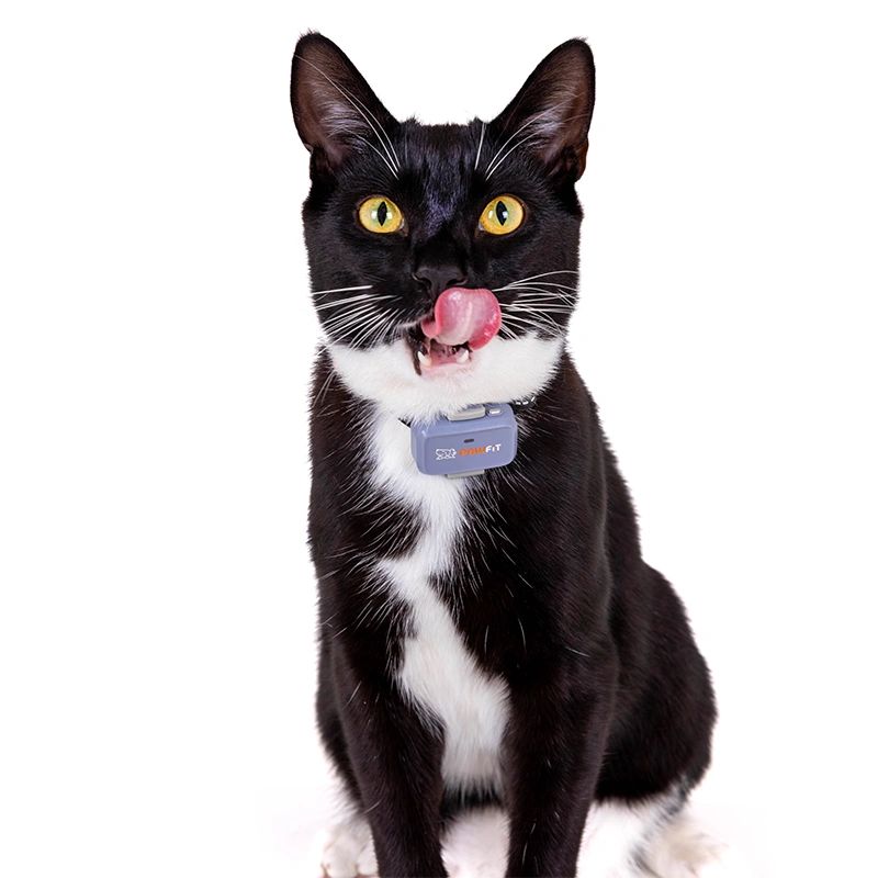 Pawfit Lite Cat Kit | Smallest GPS Cat Tracker + Spare Collar